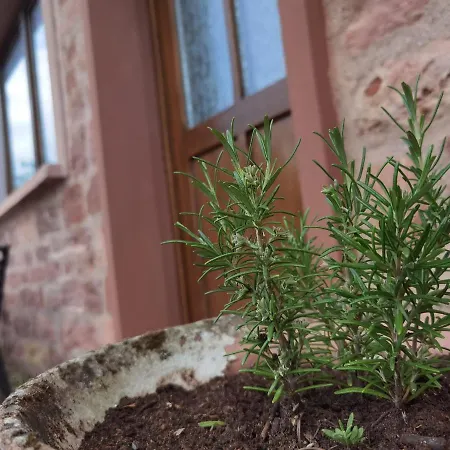 Main Appartement-haus - 97896 Freudenberg アパート Kirschfurt